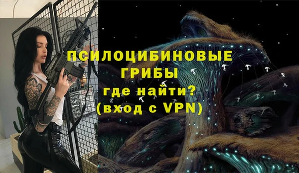 метадон Белокуриха