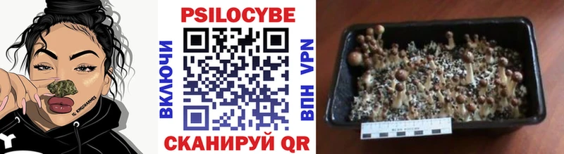 Галлюциногенные грибы GOLDEN TEACHER  сколько стоит  Волчанск 